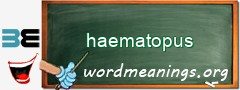 WordMeaning blackboard for haematopus